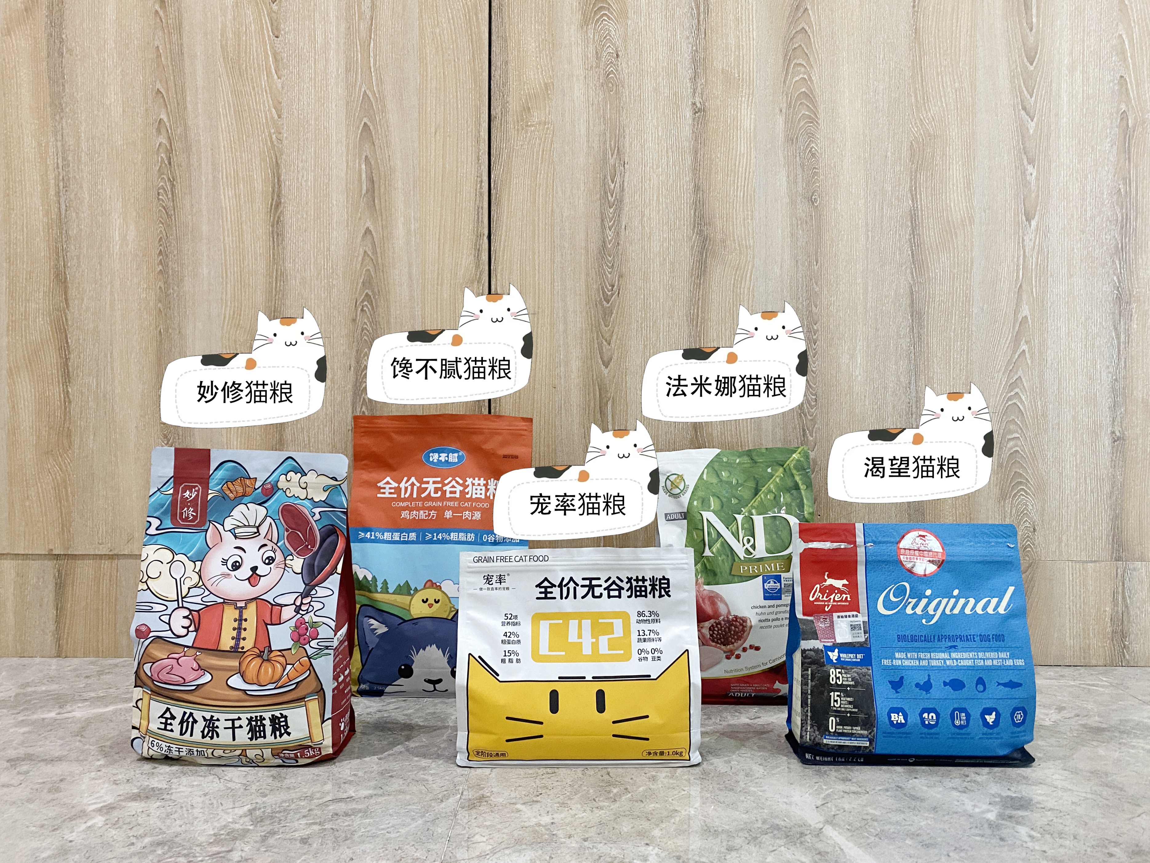 家猫适合养什么品种,最好养最粘人的十种长毛猫