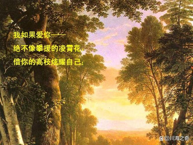 三观最正的爱情书单,致橡树否定三种庸俗的爱情观