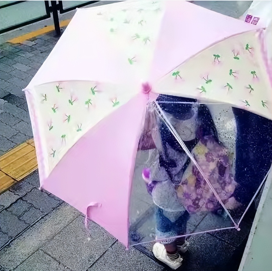 冷知识科普:日本人为什么喜欢用透明的长柄伞?