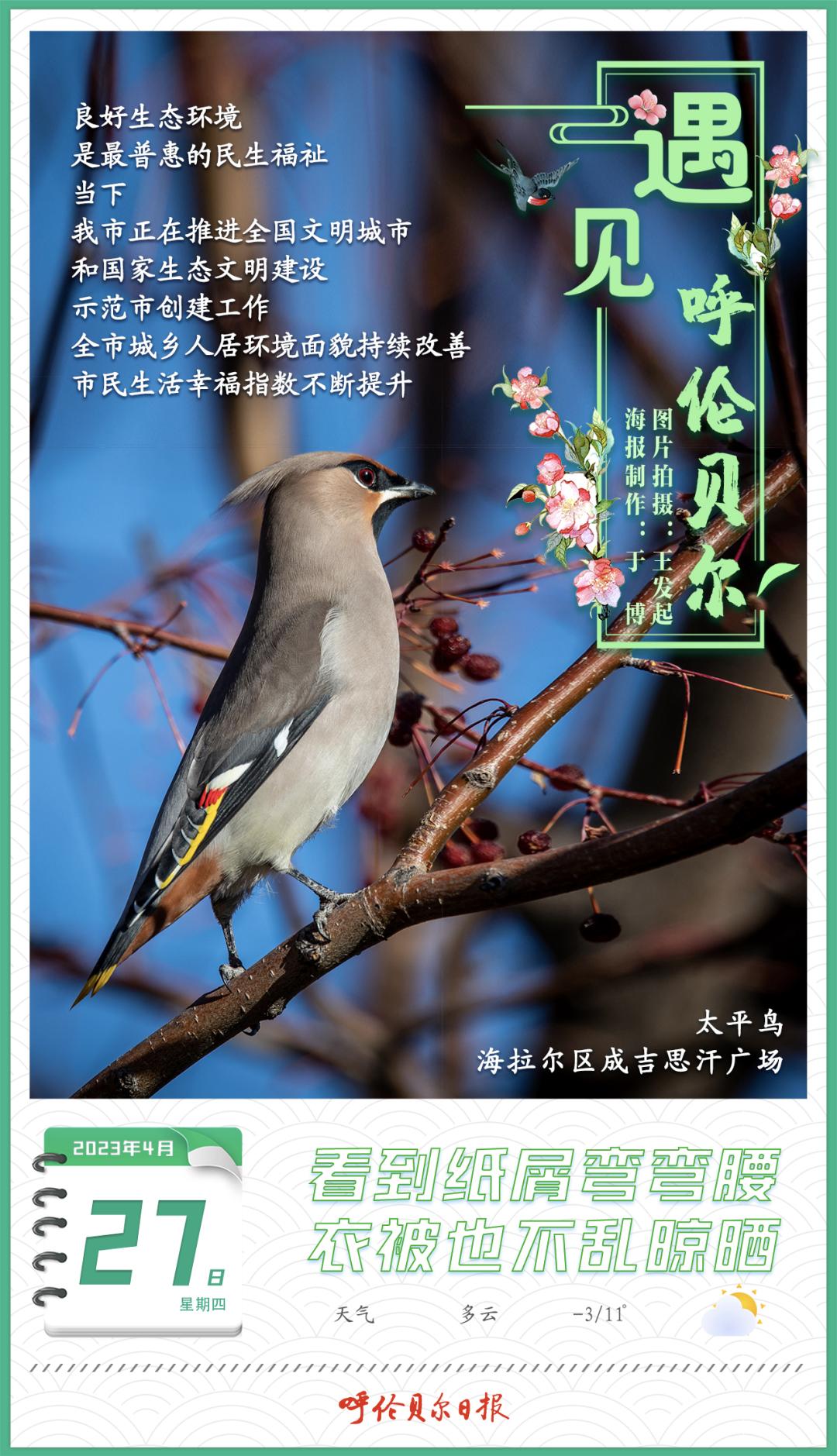 民生在线｜避“雷”避“坑”！市消协发布“五一”消费提示→