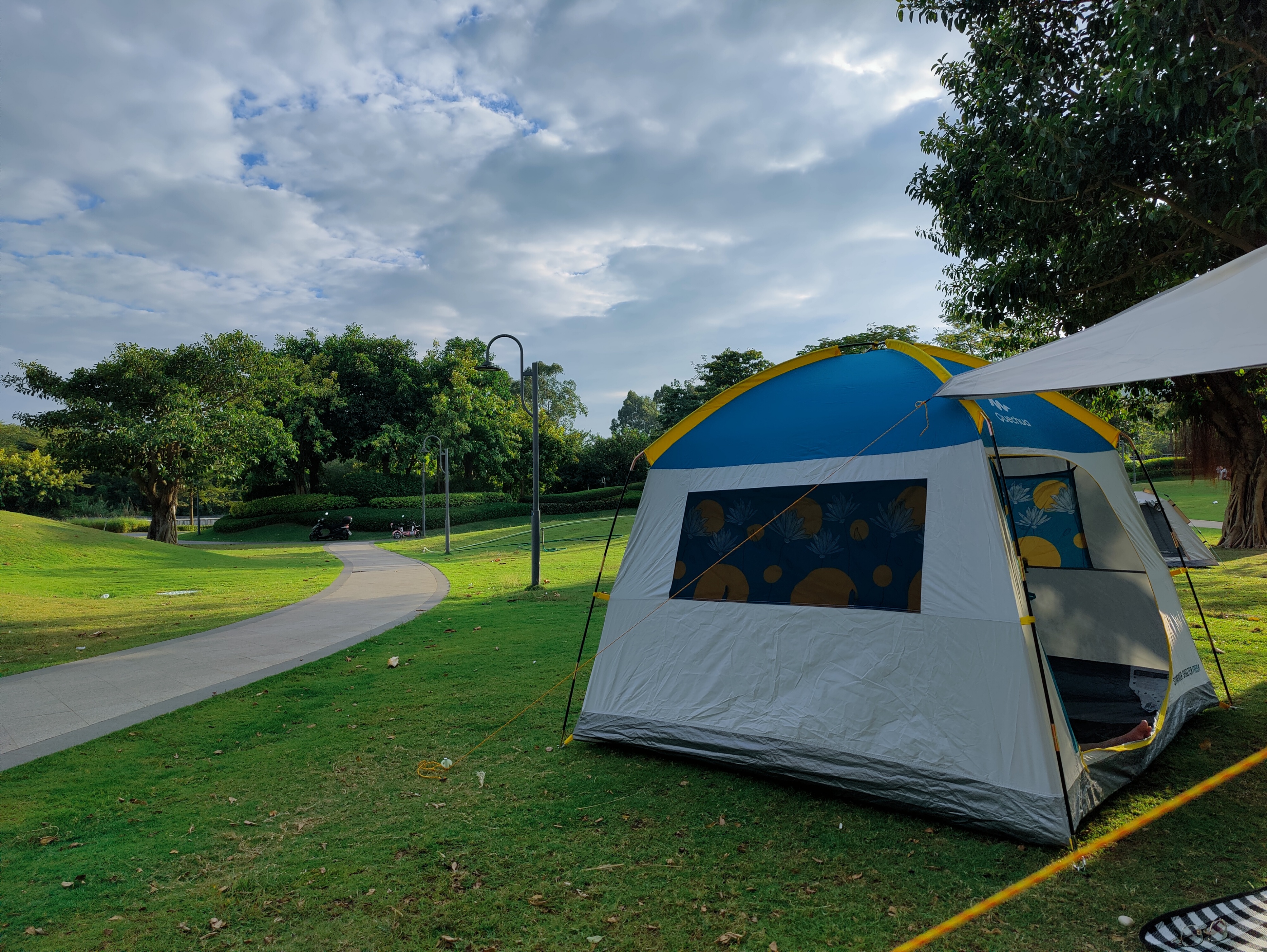 戒不掉的手机瘾怎么办,怎么戒掉孩子的手机瘾