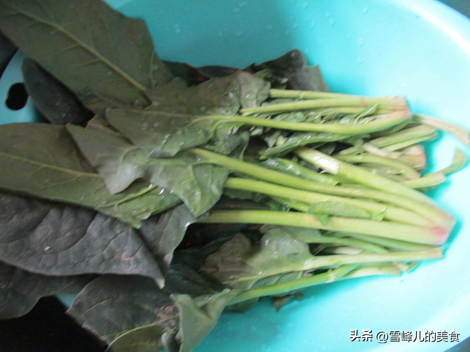 健康科普叶酸应该怎么吃,正常人叶酸的正确吃法和时间