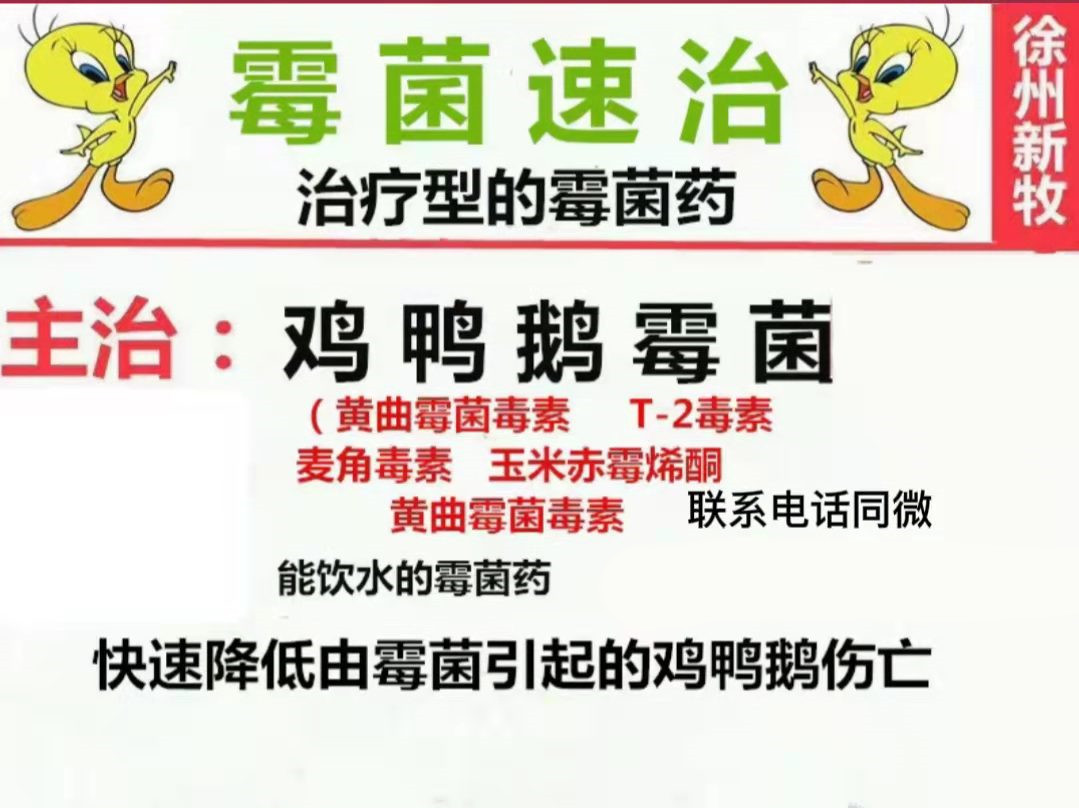 鹅肚子下腹水怎么治,鹅肚子积水是什么原因