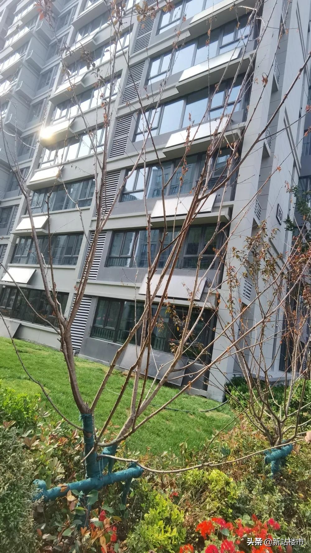 合肥保利楼盘未交付,合肥保利楼盘质量怎么样