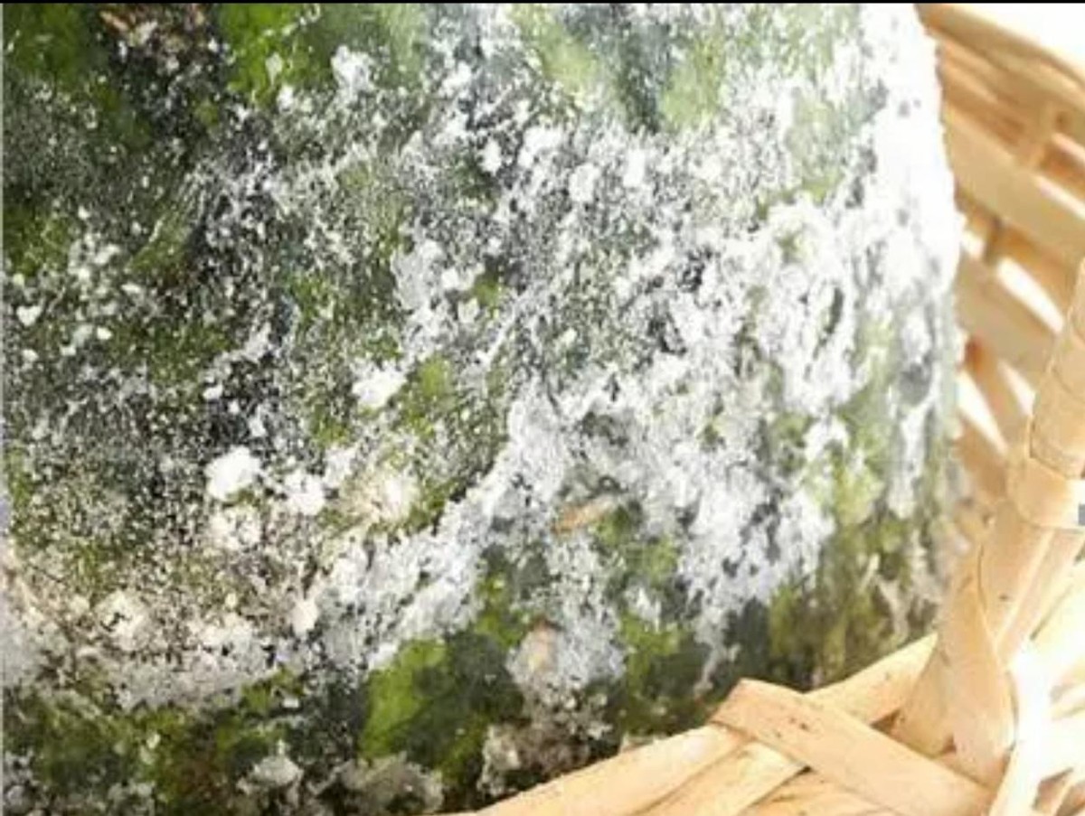 高血压患者服用维生素b2有帮助吗,维生素B2对高血压有帮助吗