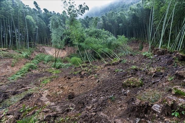 地震造成*款贷**买的房子倒塌，房贷还需要还吗？银行会如何处理？