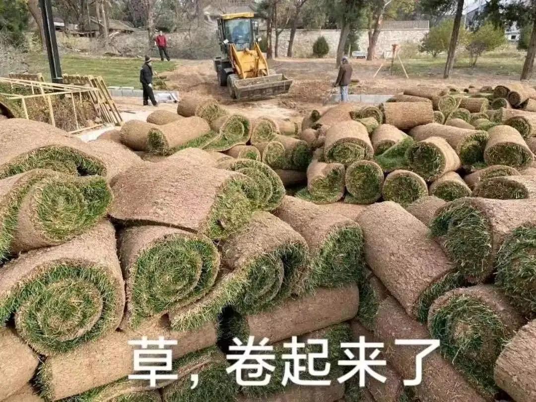 程序员年薪百万真的很容易吗,程序员工资高为什么没人做