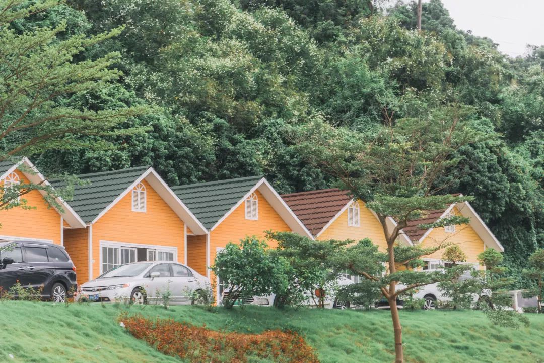 深圳10个小众打卡地免费游玩,深圳小众海边游玩攻略