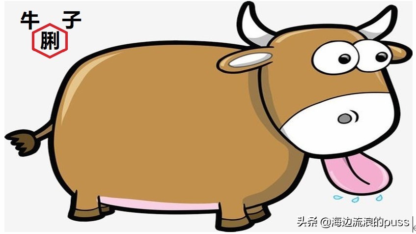 四川话里的方言字，看我细细为你道来（下）