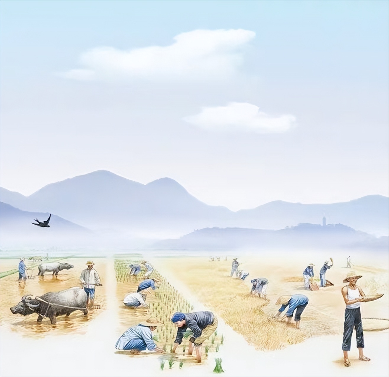 中国人没白人高比日本人矮！事实果真如此吗？别再被谣言给骗了