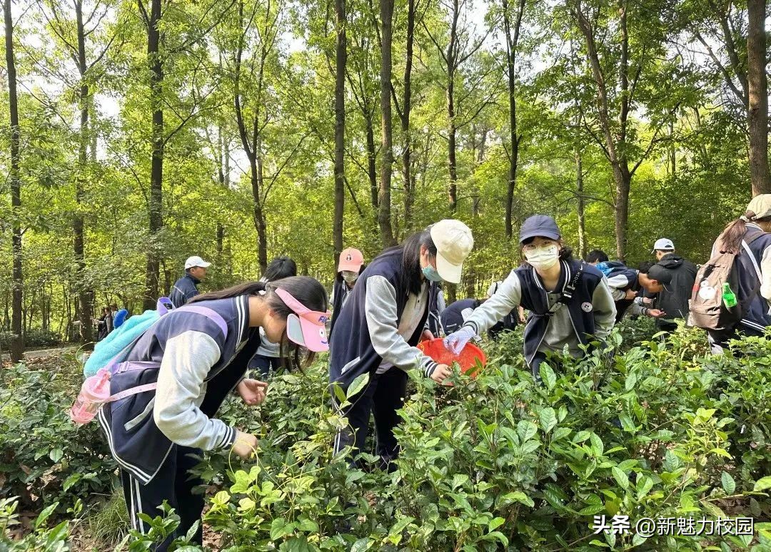 南京栖霞中学在哪,南京市栖霞中学