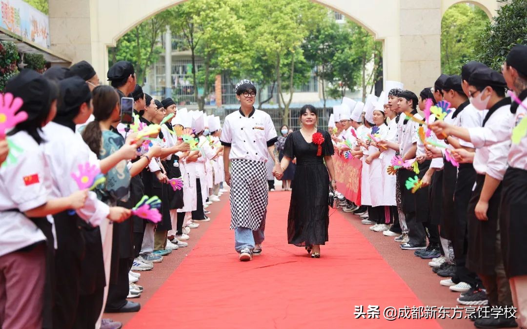 石家庄职高学校有哪些,职高学校有哪些职业