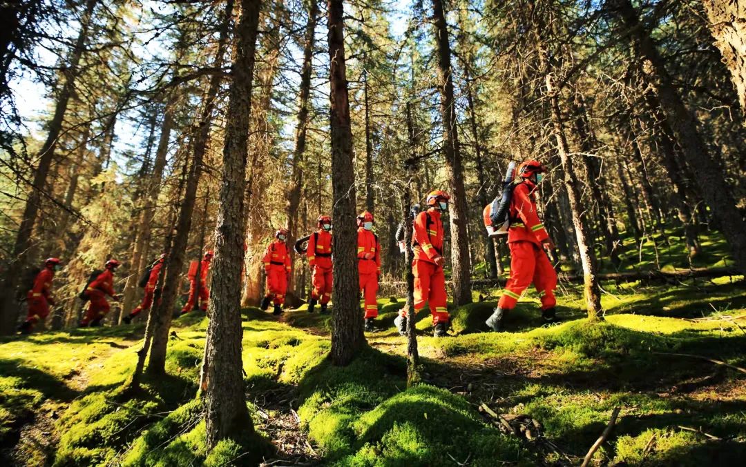 红旗漫卷西风——甘肃森林消防总队践行习总书记训词精神维护西北生态安全侧记