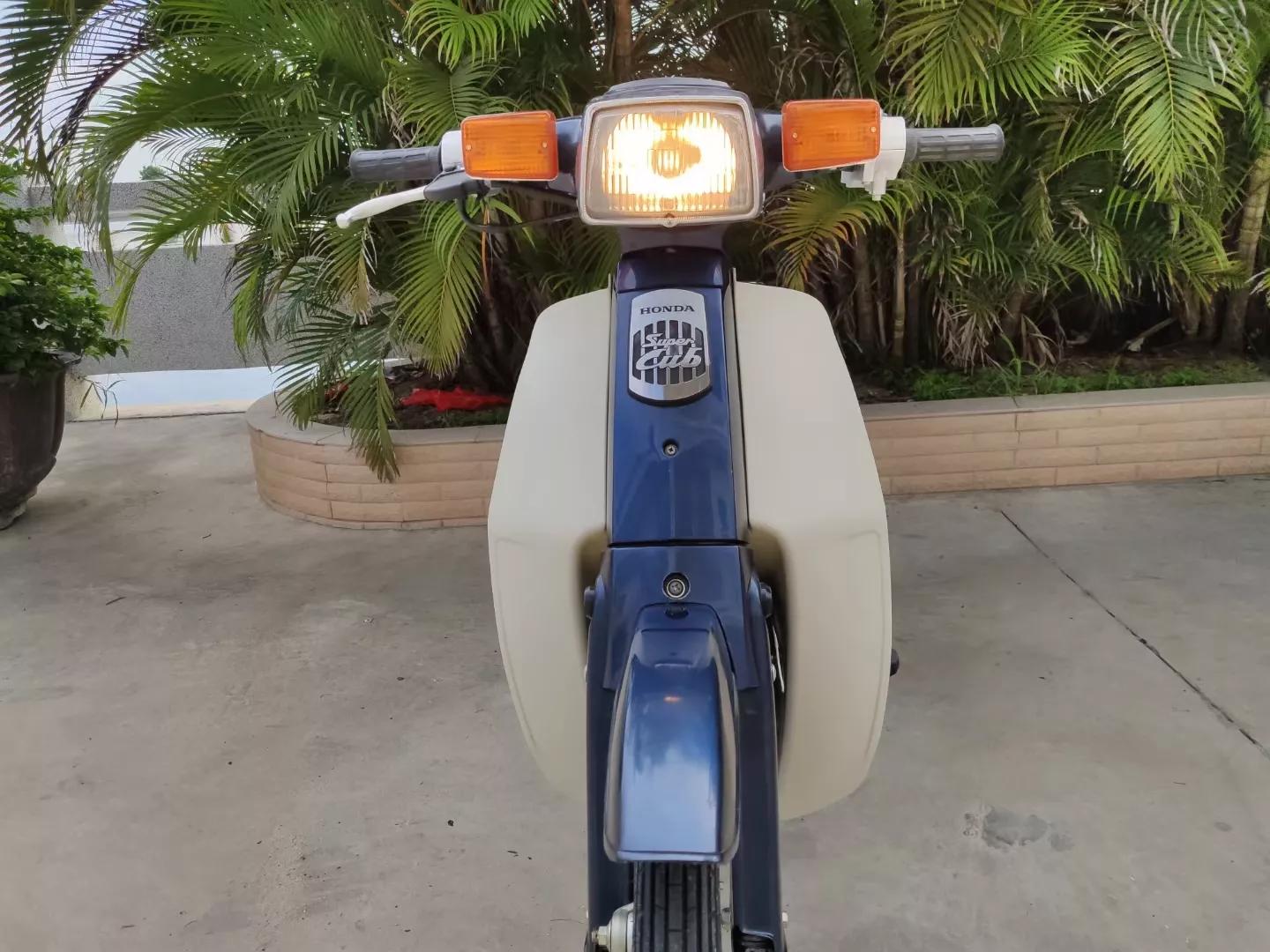 哪些动漫里面有本田幼兽,本田幼兽漫画图片