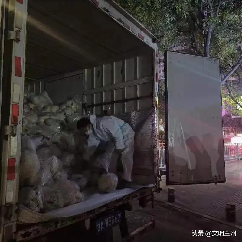 抗疫志愿者为村民销售滞销蔬菜,携手助农齐抗疫共克时艰展芳华