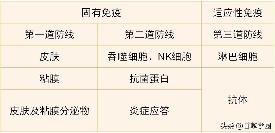 鐢樿崏瀛﹀洯,鐢樿崏瀛﹂櫌