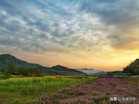 今天农历四月十五，你知道是什么日子吗？老祖宗的谚语怎么说的