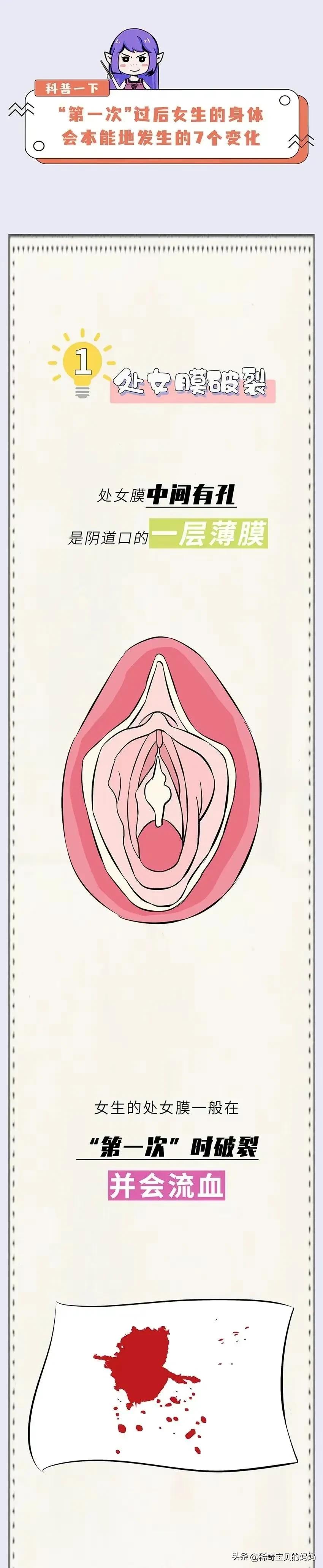 女生姨妈前后四个阶段漫画,女生的一生要经历几个阶段漫画