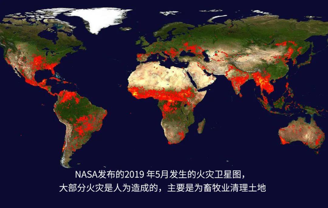 你不知道的英国女王：一位硬核环保主义者
