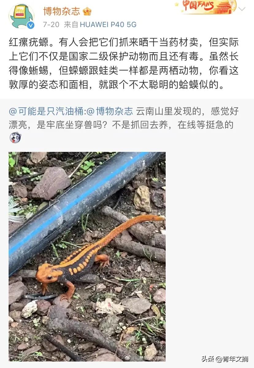 南京摘花被判刑,到底有多少人因为摘花被判刑了