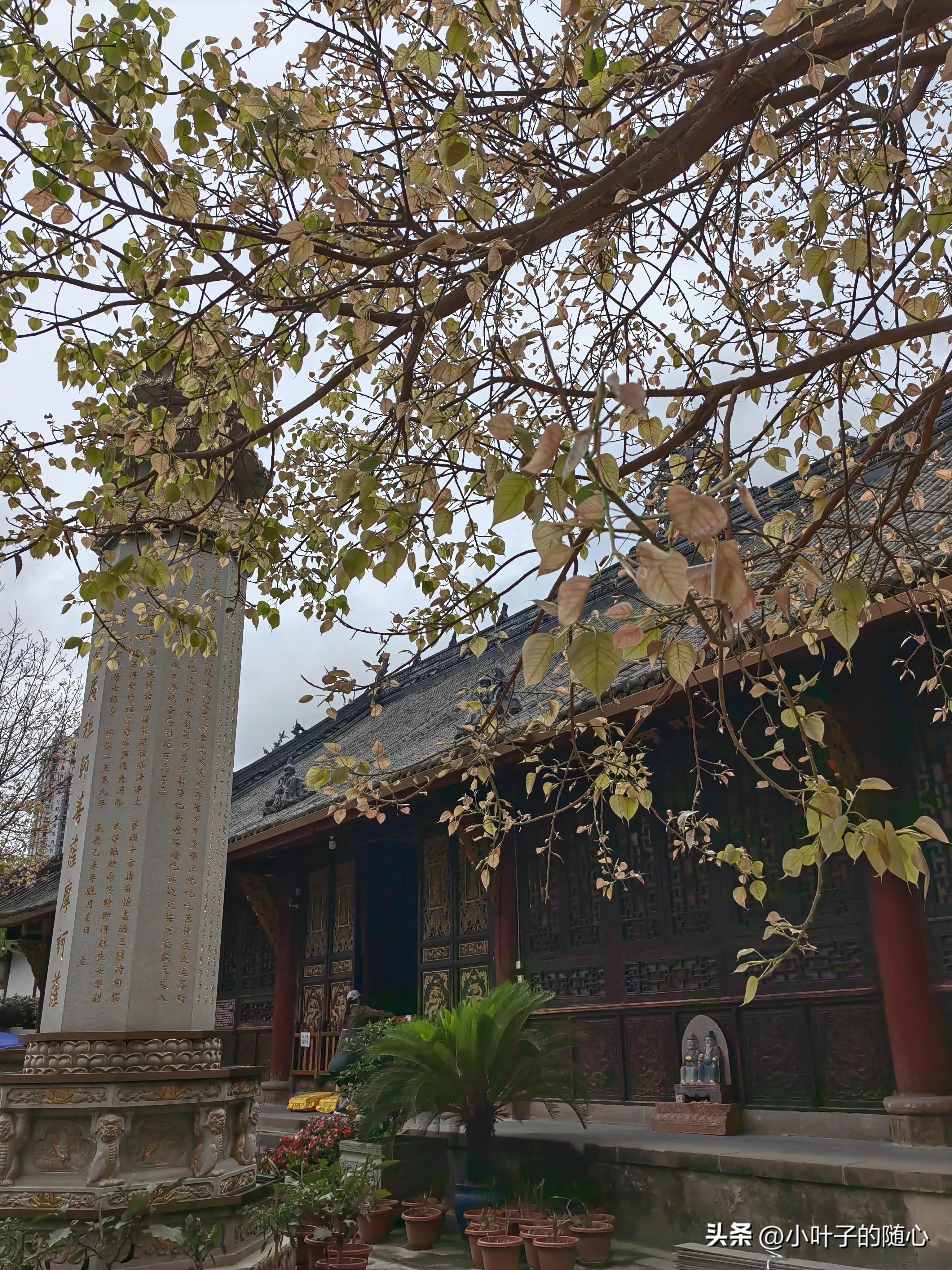 成都三日游旅行团报价,成都三日游旅游线路攻略图