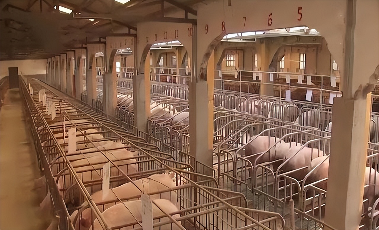 暴利工业废料变废为宝,九零后小伙收废品变废为宝