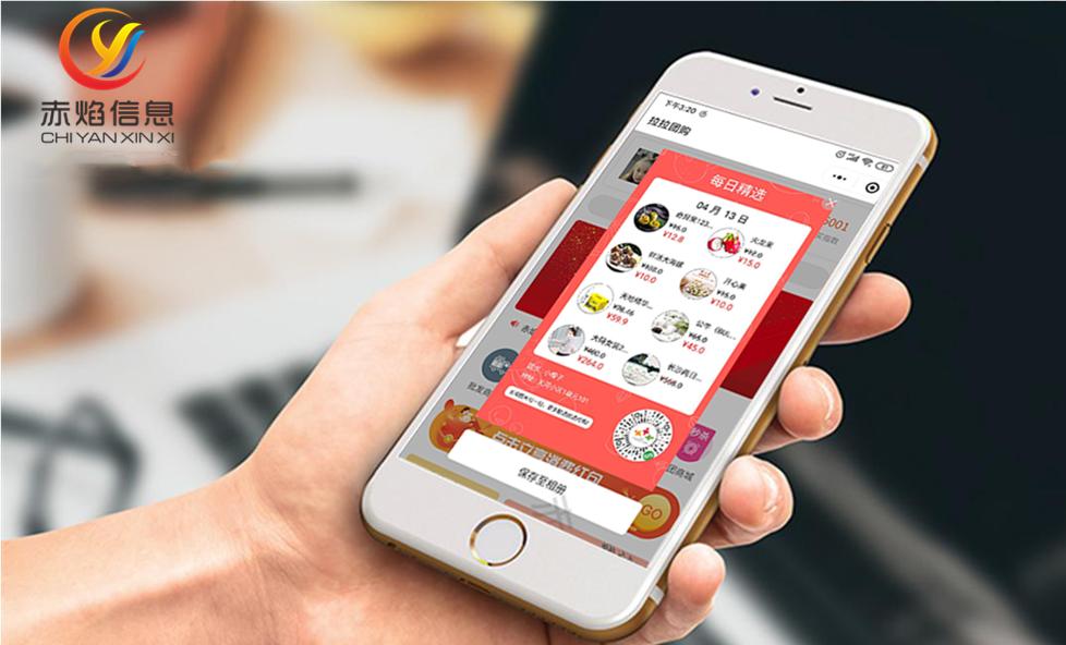 赋能团长，打造零售新通路——社区团批业务深度解析