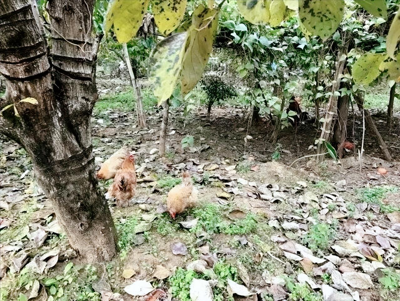 走进桂林阳朔山水,走进桂林深处