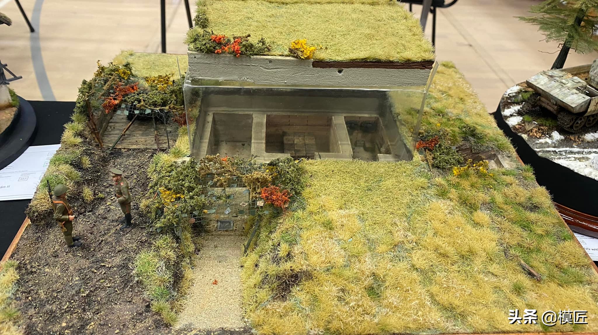 匈牙利莫森金奖,莫森模型展