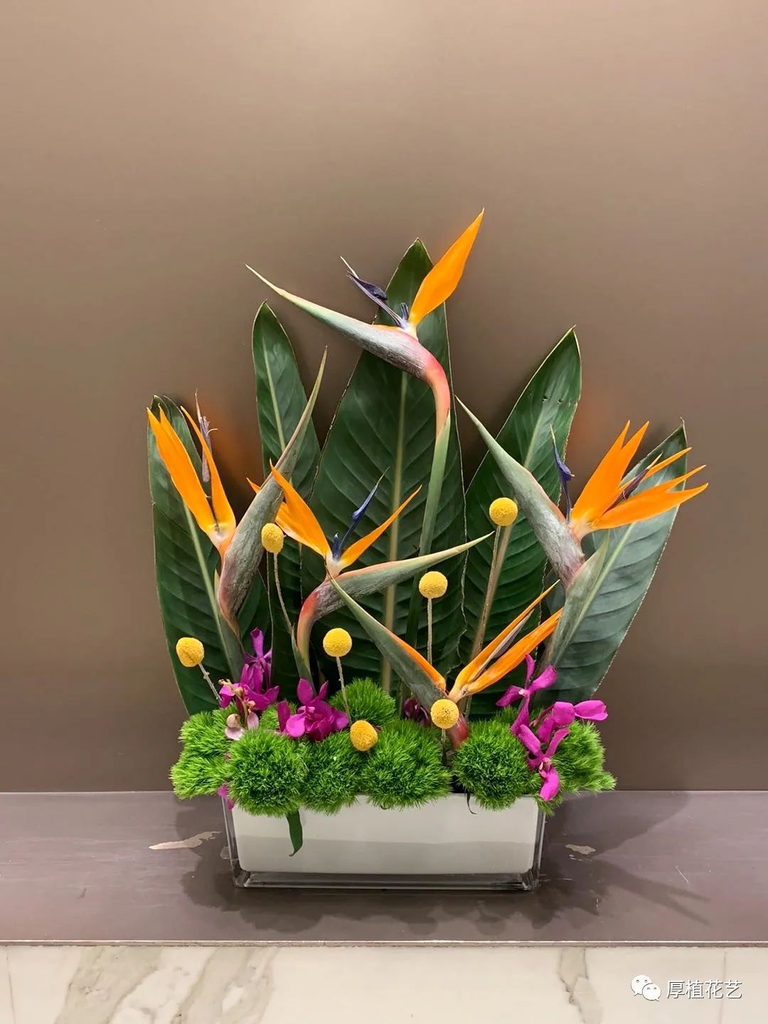 商务前台鲜花,前台花选择