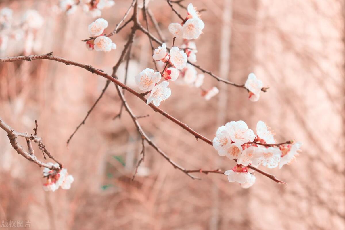 那些孝敬父母的人后来怎么样了,一个人孝顺父母的下场