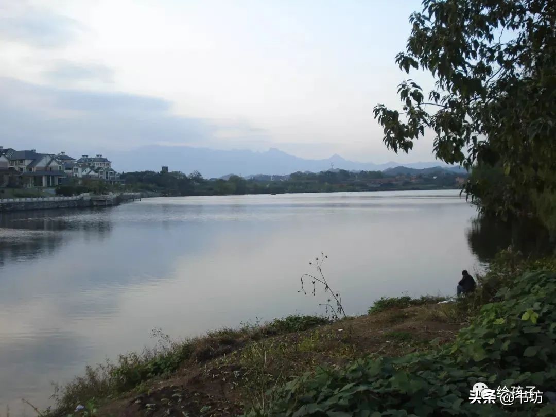 叶嘉莹评价辛弃疾水调歌头,叶嘉莹有关辛弃疾的讲座