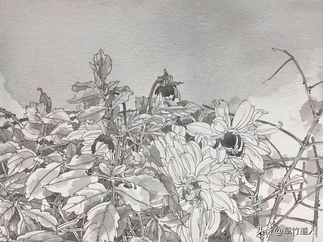 绘画艺术形象及其审美意义,中国绘画的审美特点4字