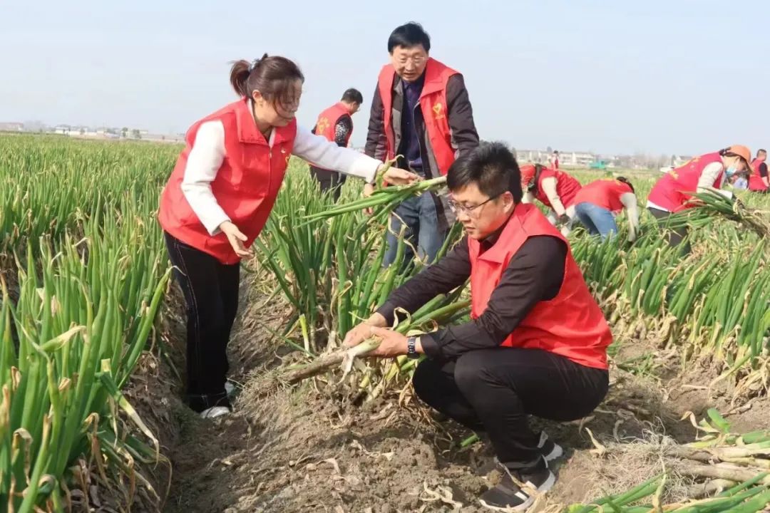 雅周镇杭窑村海润家庭农场的直播间里线上助农直播！