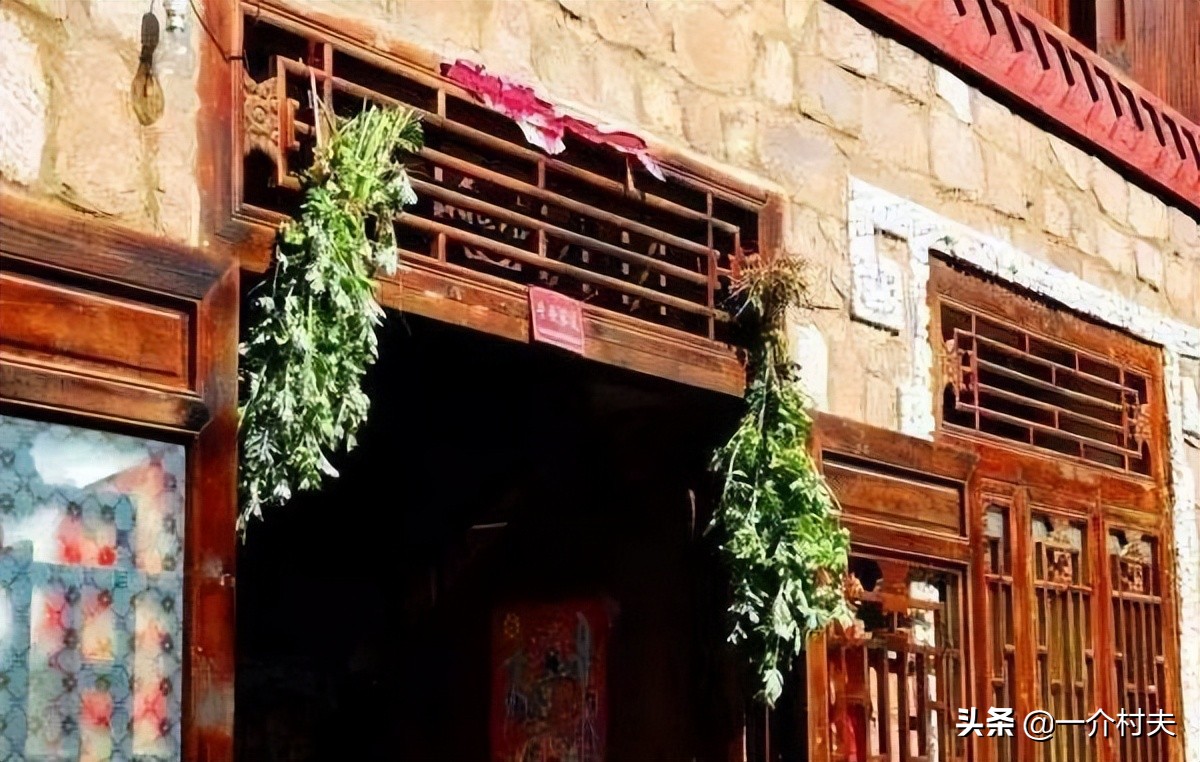 端午挂艾草什么时间挂最好,小叶艾草和大叶艾草哪个适用端午