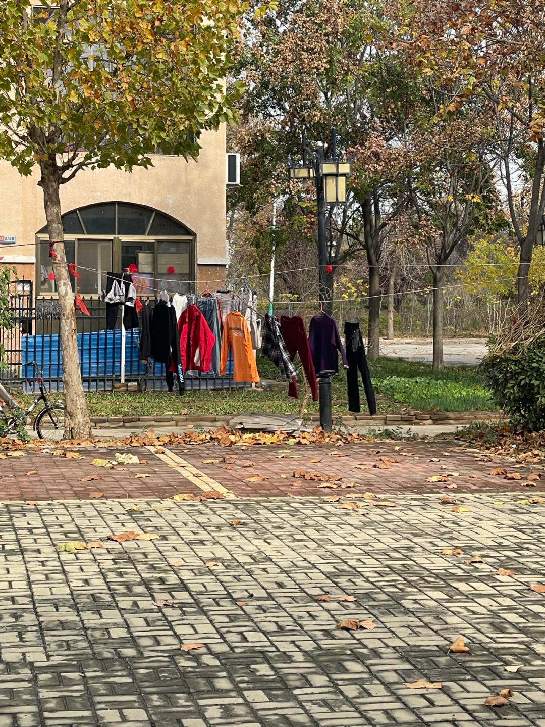 董董骑行山东,懂懂骑山东