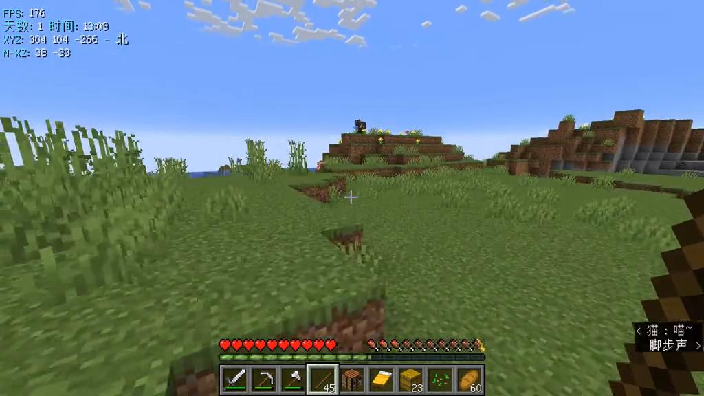 我的世界发现村庄的概率是多少,我的世界我找到了村庄英文