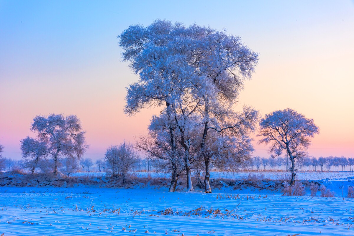 吉林的十道经典特色美食,介绍吉林特色美食的视频