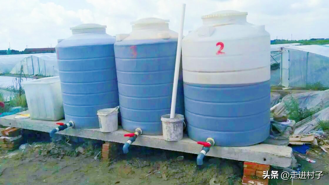 烂果直接发酵酵素,烂水果怎么发酵做肥料