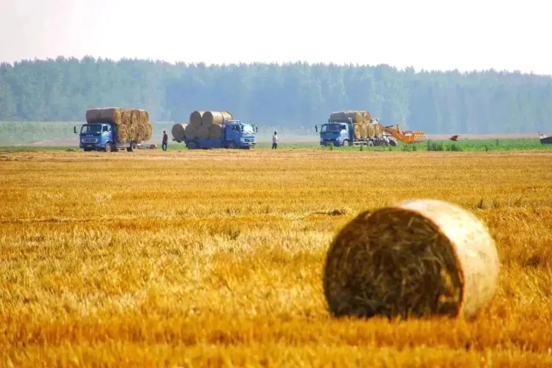 悬念揭晓在即,悬念揭晓视频