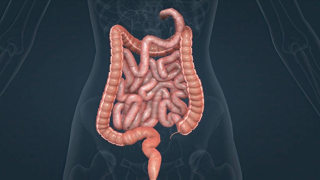 大便三天拉一次是什么原因,大便粘稠排便不畅中药