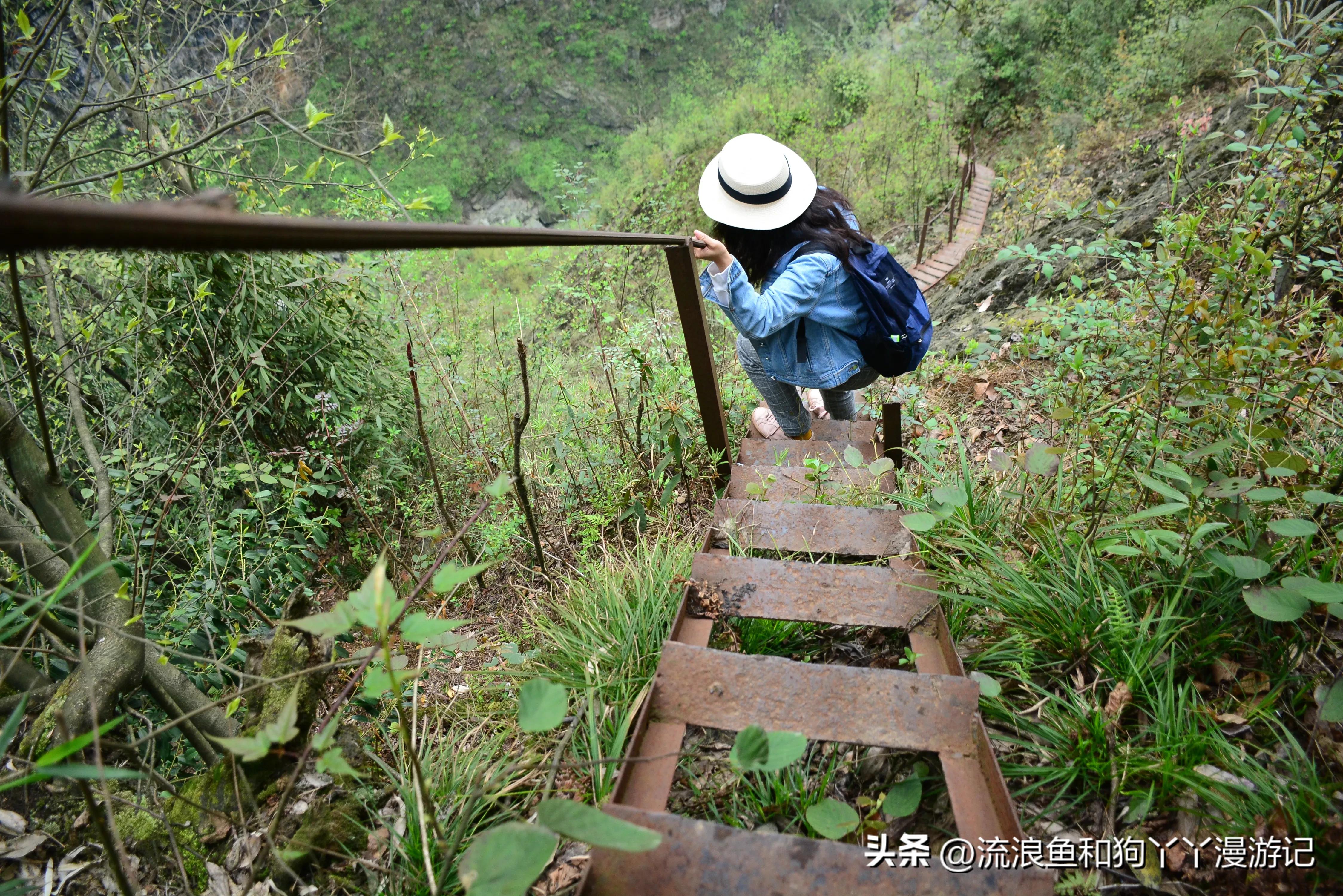 四月份成都近郊一日游好去处,2022成都近郊看雪一日游最佳去处