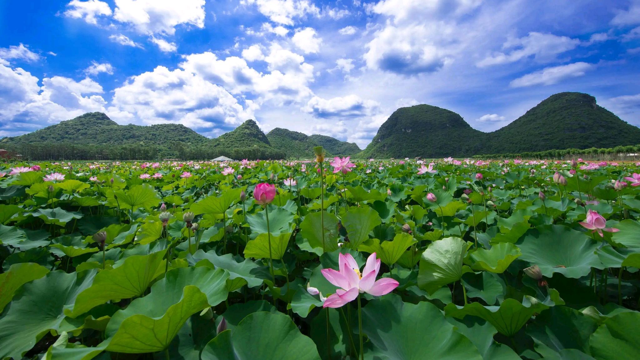 云南全部5a级旅游景点有哪些,云南拟新增10个国家4a级旅游景区