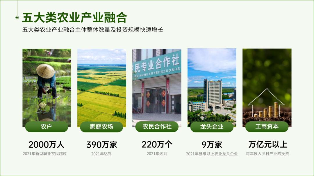 适合农民的ppt,免费农业农村ppt模板