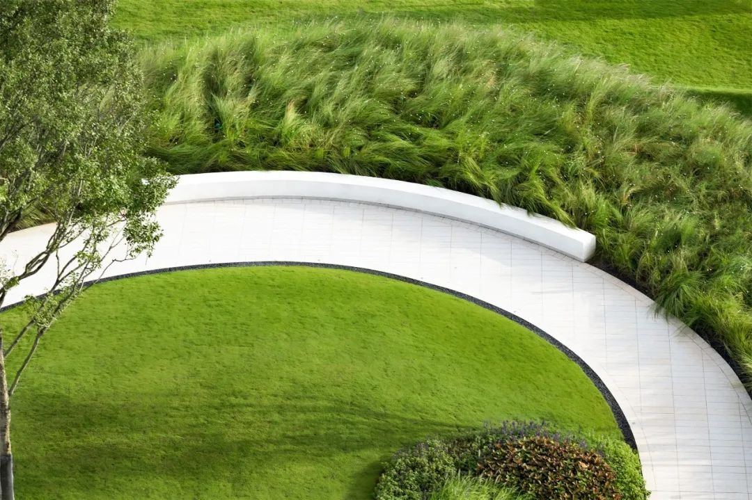 元亩塘公园景观设计,高端公园绿化景观设计