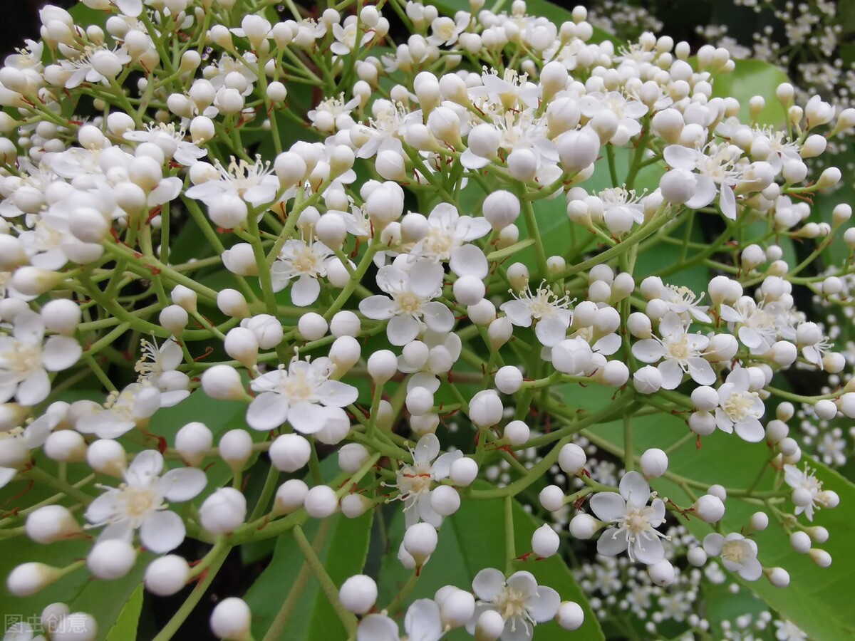 描写春日美景的唐诗宋词,唐诗宋词里的春天有多美