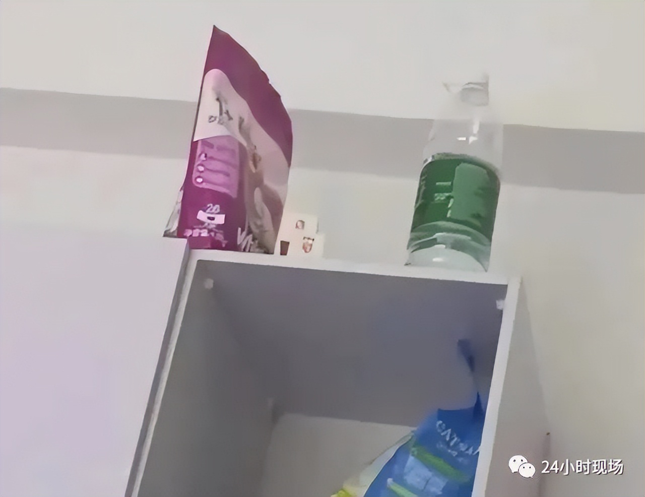 女生兼职喂猫遇骚扰,女生兼职喂猫疑遇骚扰