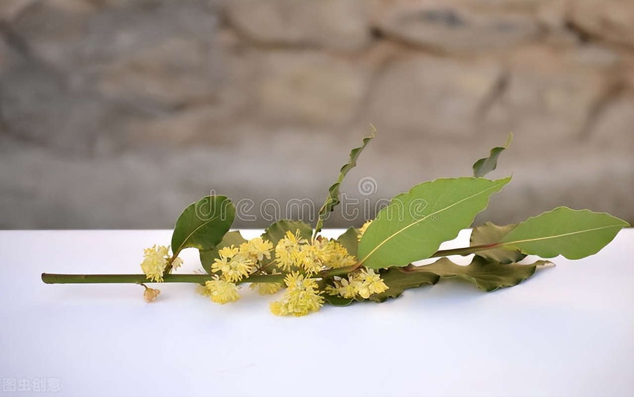 中医治静脉曲张的妙招,静脉曲张的中医疗法的文章