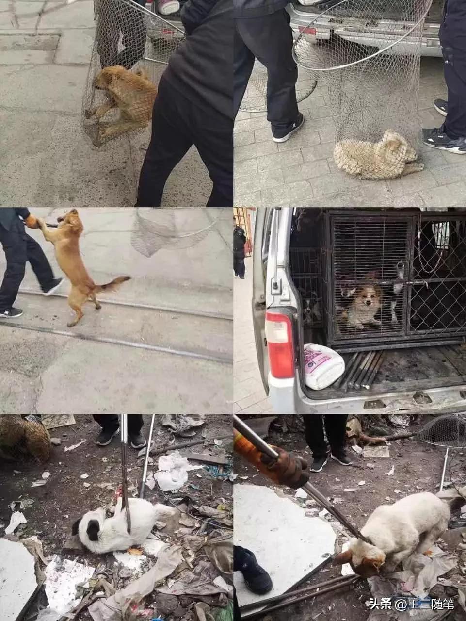 警察的待遇如何,警察的待遇一样吗