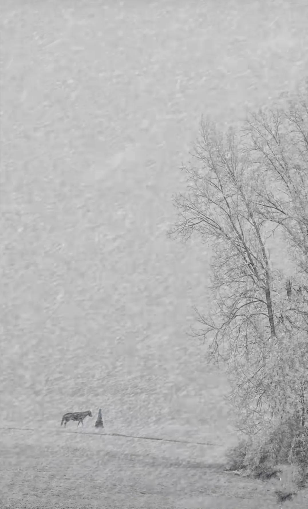 “大众创业”杀身成仁，不声不响，为社会做了一件伟岸的大事件！